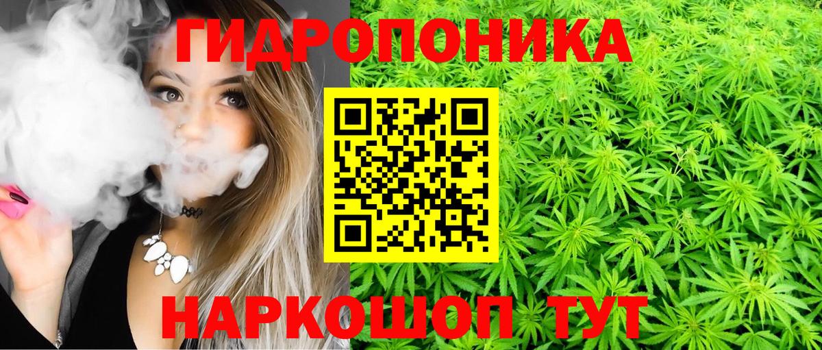 Канабис семена Миллерово